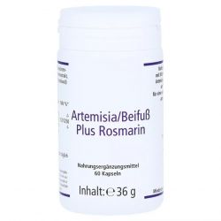 Артемизинин 150 мг капс. 60шт в Чите и области фото