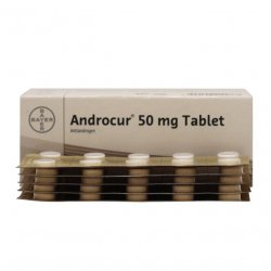 Андрокур (Ципротерон) таблетки 50мг №50 в Чите и области фото