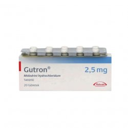 Гутрон таблетки 2,5 мг. №20 в Чите и области фото