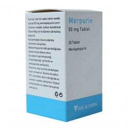 Мерпурин (Меркаптопурин) в  таблетки 50мг №25 в Чите и области фото